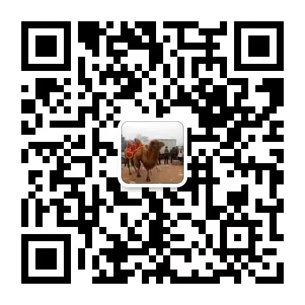 广西柳州金楠木材销售有限公司
